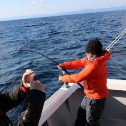 へいみつ丸 釣果