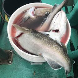 広進丸 釣果