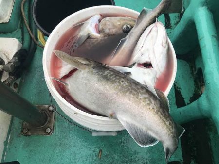 広進丸 釣果
