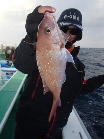 第二むつ漁丸 釣果