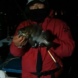 フィッシングガイド りょう 釣果