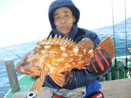 真祐丸 (しんゆうまる) 釣果