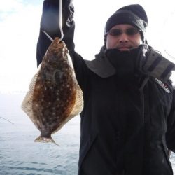 遊漁船 幸友丸 釣果