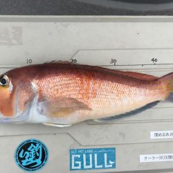 へいみつ丸 釣果