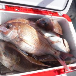 遊漁船 幸友丸 釣果