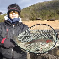 フィッシングレイクたかみや 釣果