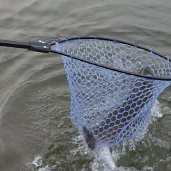 フィッシングレイクたかみや 釣果