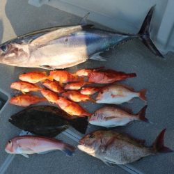 へいみつ丸 釣果