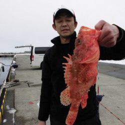 大進丸(新潟) 釣果