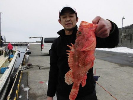 大進丸(新潟) 釣果