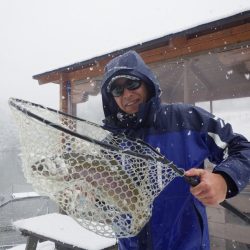 フィッシングレイクたかみや 釣果