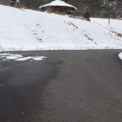 フィッシングレイクたかみや 釣果