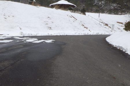 フィッシングレイクたかみや 釣果