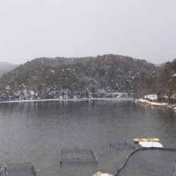 フィッシングレイクたかみや 釣果