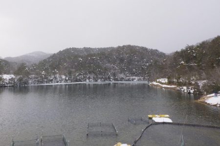 フィッシングレイクたかみや 釣果