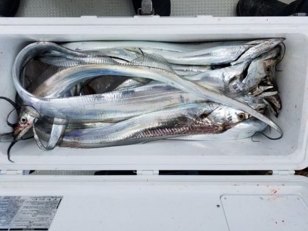 遊漁船　ニライカナイ 釣果