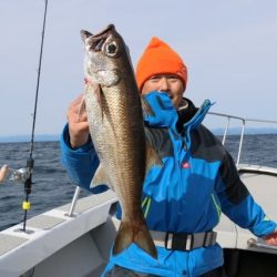 へいみつ丸 釣果