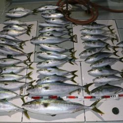 スカイマリン 釣果