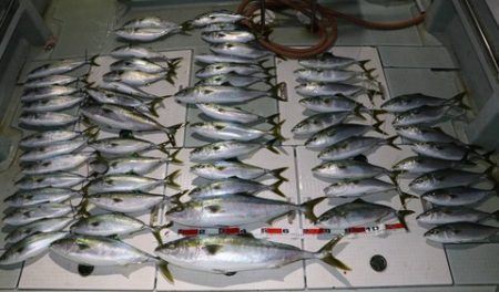 スカイマリン 釣果