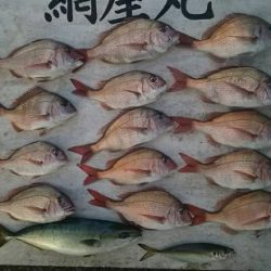 網屋丸 釣果