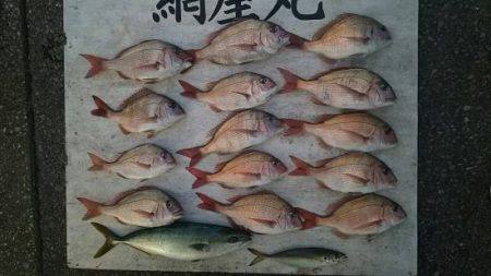 網屋丸 釣果