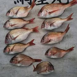 網屋丸 釣果