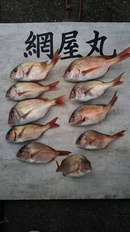 網屋丸 釣果