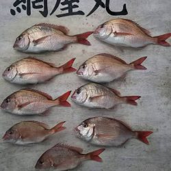 網屋丸 釣果