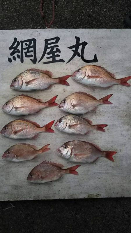 網屋丸 釣果