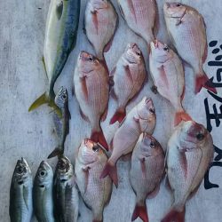 網屋丸 釣果