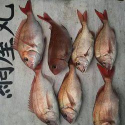 網屋丸 釣果