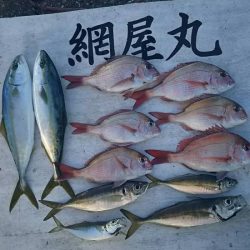 網屋丸 釣果