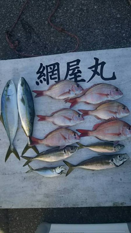 網屋丸 釣果