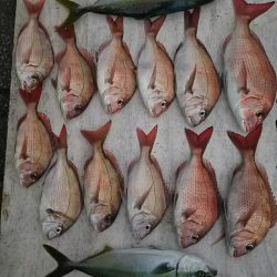 網屋丸 釣果