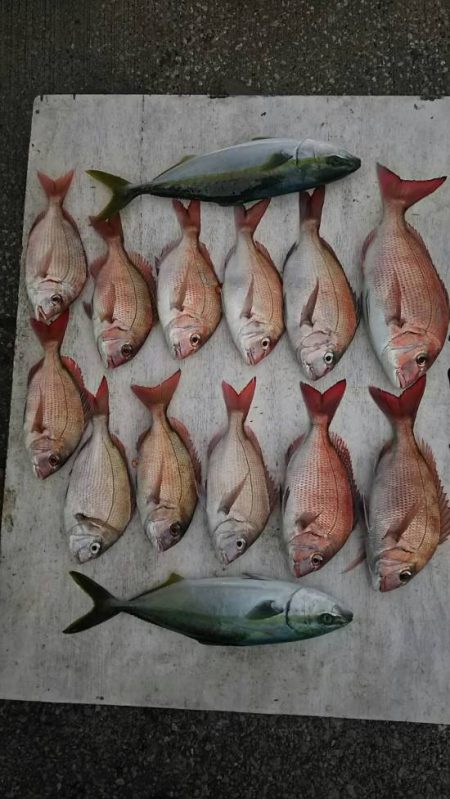 網屋丸 釣果
