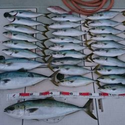 スカイマリン 釣果