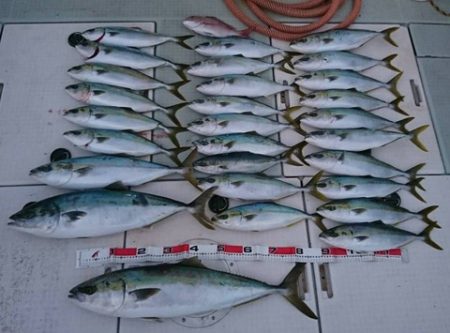 スカイマリン 釣果