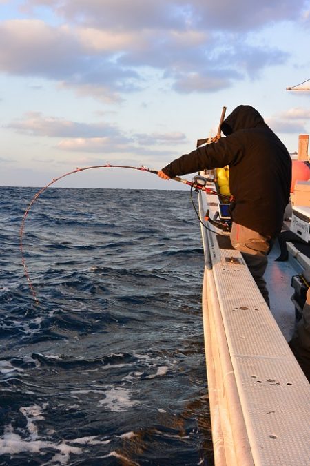 宝生丸 釣果
