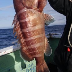 遊漁船 新鋭丸 釣果