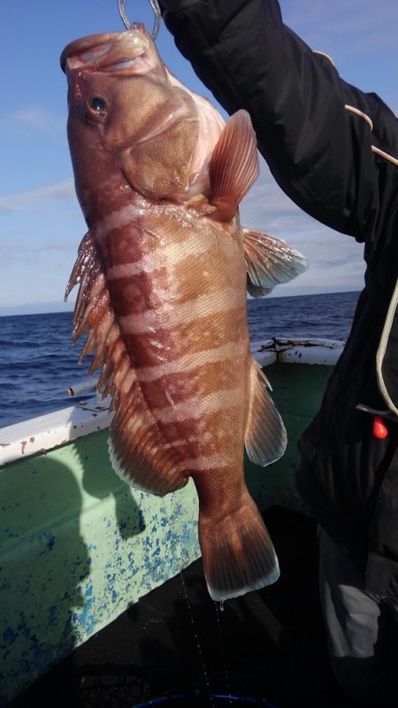 遊漁船 新鋭丸 釣果