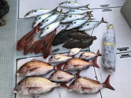 ふじしめ丸 釣果