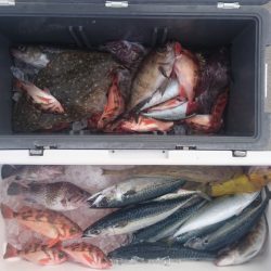 気仙沼 つり丸 釣果