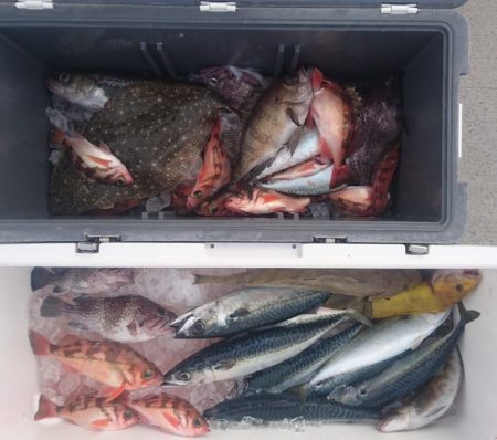 気仙沼　つり丸 釣果