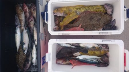 気仙沼 つり丸 釣果