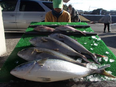 カタタのつり堀 釣果