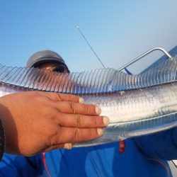 遊漁船 ニライカナイ 釣果