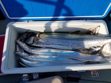 遊漁船　ニライカナイ 釣果