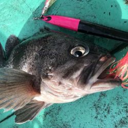広進丸 釣果