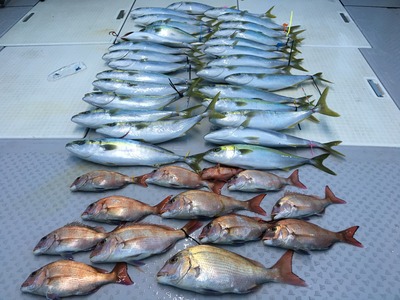 ミタチ丸 釣果