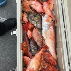 へいみつ丸 釣果